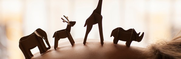 Elementum Erat Congue