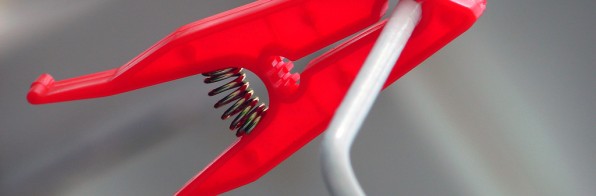 Sed porttitor auctor magna.