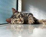 Relax ! Take it easy !