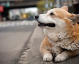 Still waiting. Where is he?